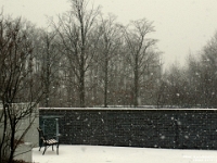24084CrLe - Falling snow, Ajax Hospital.JPG
